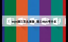 wps国二怎么准备_国二wps考什么