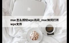 mac怎么授权wps访问_mac如何打开wps文件