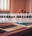 怎么把照片填进ppt_填表怎么把照片放进去