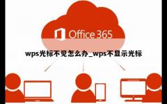 wps光标不见怎么办_wps不显示光标