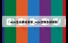 wps怎么删去背影_wps怎样去掉背影