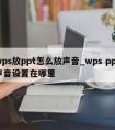 wps放ppt怎么放声音_wps ppt声音设置在哪里