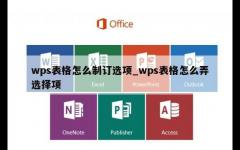 wps表格怎么制订选项_wps表格怎么弄选择项