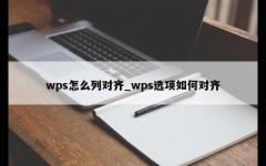 wps怎么列对齐_wps选项如何对齐