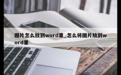 图片怎么放到word里_怎么将图片放到word里