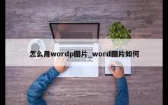 怎么用wordp图片_word图片如何