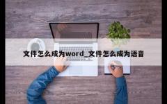 文件怎么成为word_文件怎么成为语音