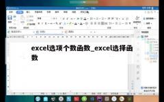 excel选项个数函数_excel选择函数