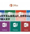 wps文字怎么输出ppt_怎样在wps表格中输入文字