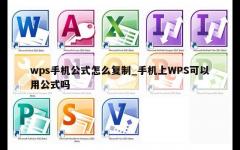 wps手机公式怎么复制_手机上WPS可以用公式吗