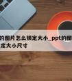 ppt的图片怎么锁定大小_ppt的图片怎么锁定大小尺寸