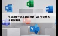 word文件怎么复制照片_word文档怎么复制照片