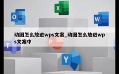 动图怎么放进wps文案_动图怎么放进wps文案中