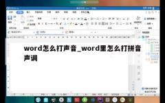 word怎么打声音_word里怎么打拼音声调