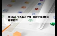 微软word怎么开中文_微软word翻译在哪打开