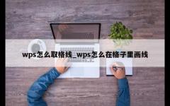 wps怎么取格线_wps怎么在格子里画线