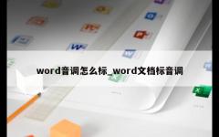 word音调怎么标_word文档标音调